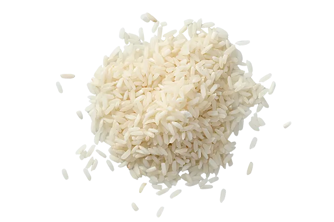 Long-grain white rice used in JustFoodForDogs recipe as a gentle, digestible carbohydrate source
