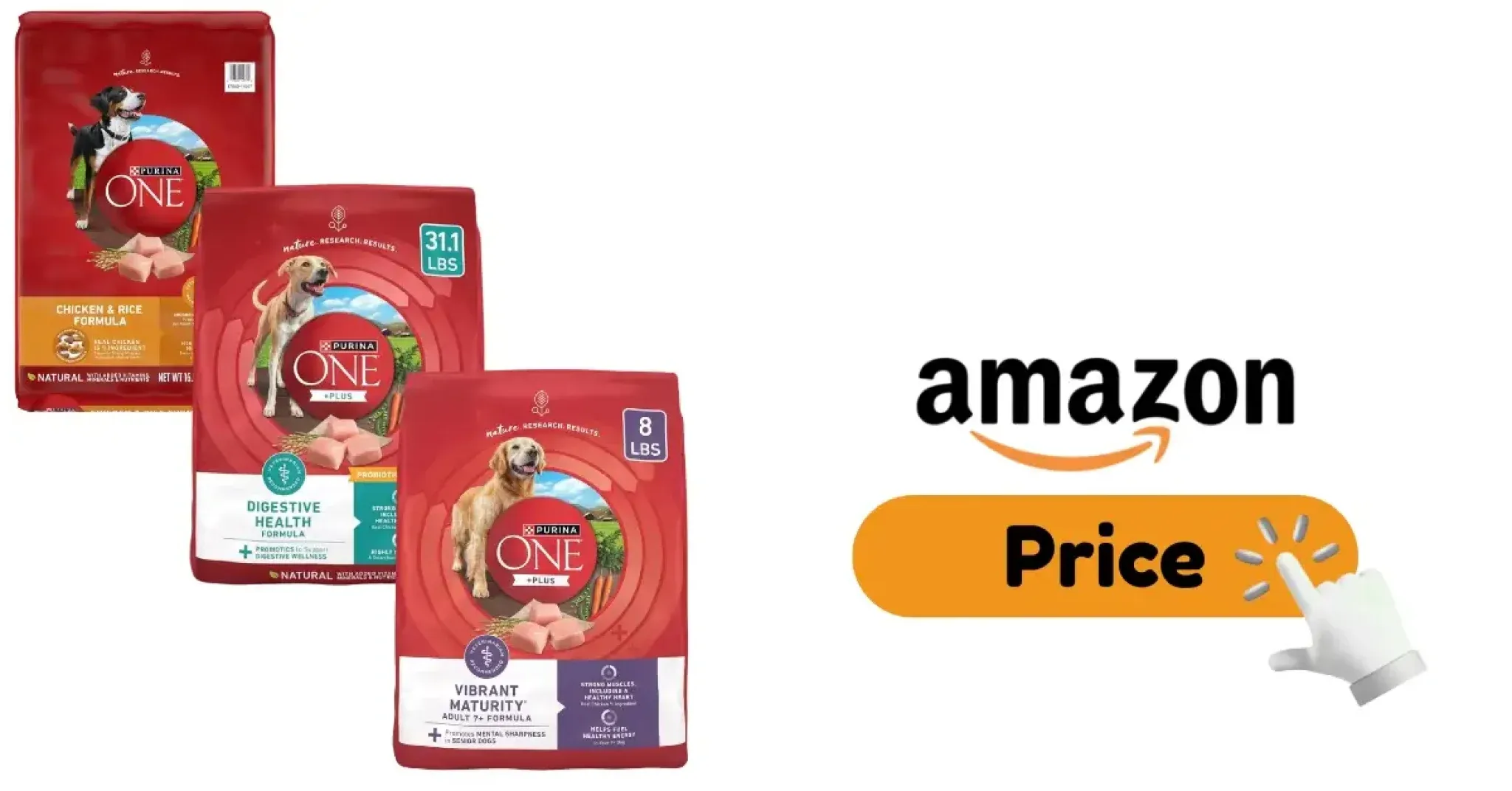 Purina ONE dry dog food kibble in a bowl with a blurred background of a dog eating