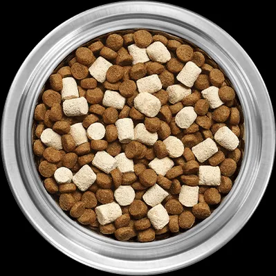 Freeze-dried raw chicken pieces mixed with high-protein kibble for dogs