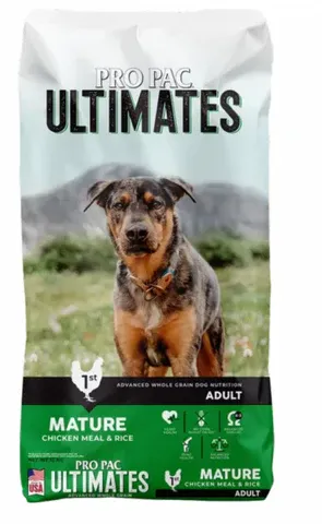 Large breed adult dog eating Pro Pac Ultimates chicken meal and rice formula