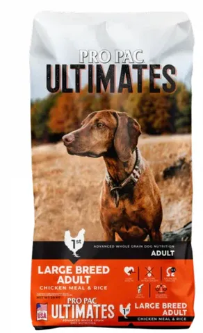 Young puppy enjoying Pro Pac Ultimates puppy chicken meal and rice dry dog food