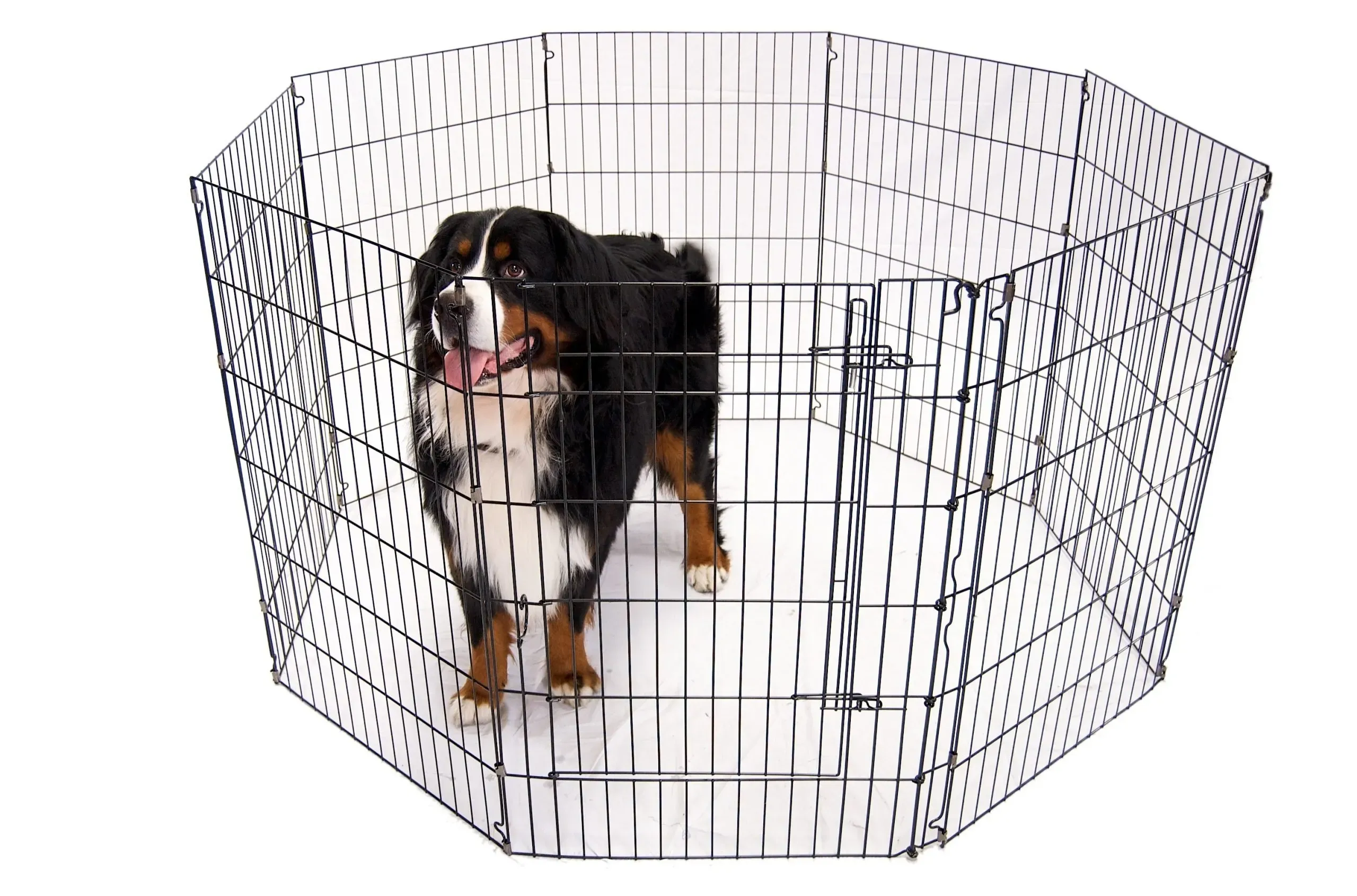 Small outdoor dog confinement area with a playpen set up on grass for potty training