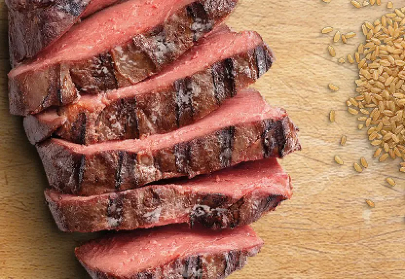 Single animal protein source in Natural Balance dog food featuring premium ingredients like salmon, duck, or bison