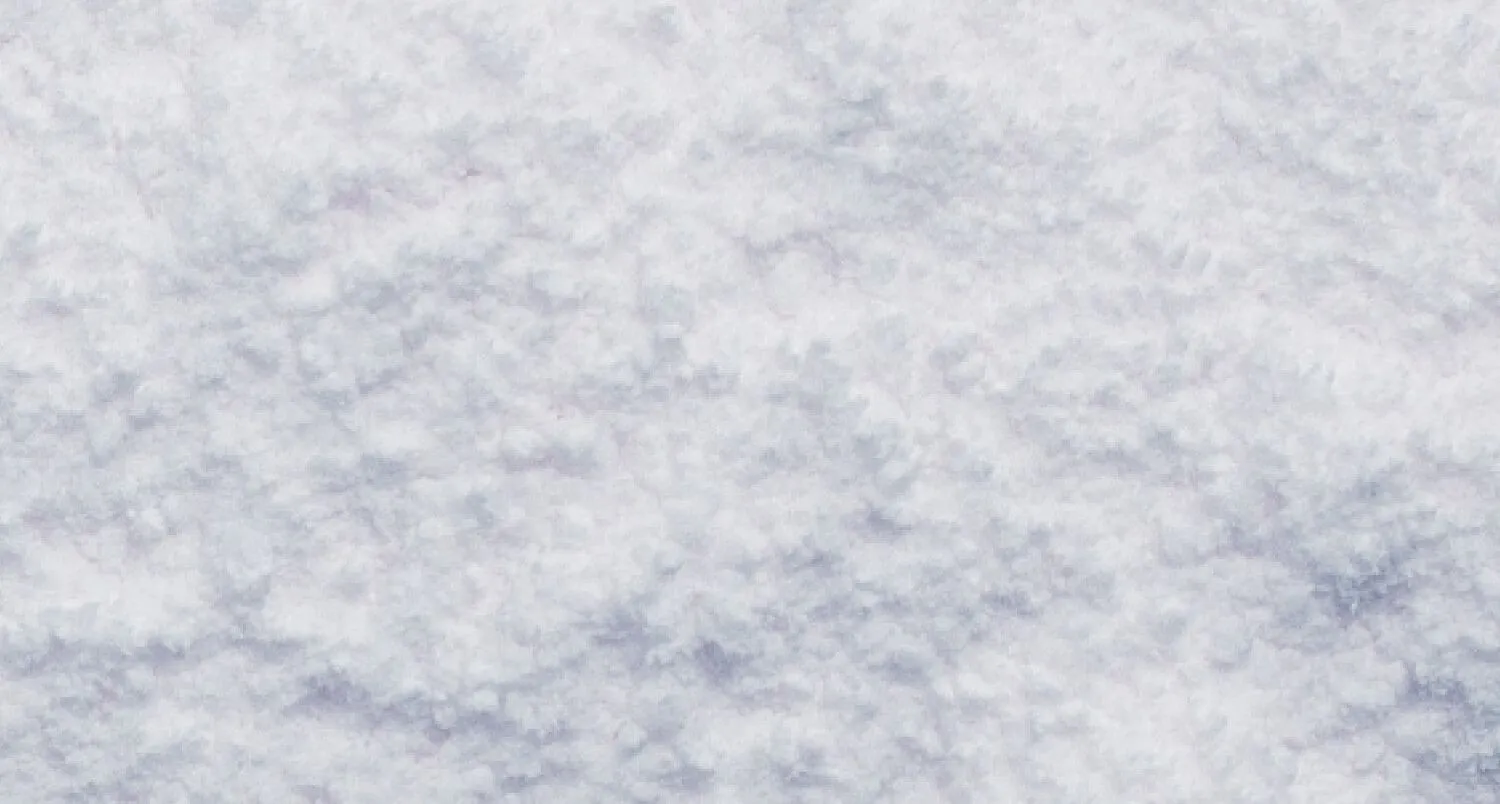 Vitamin E powder in a spoon next to dog supplements