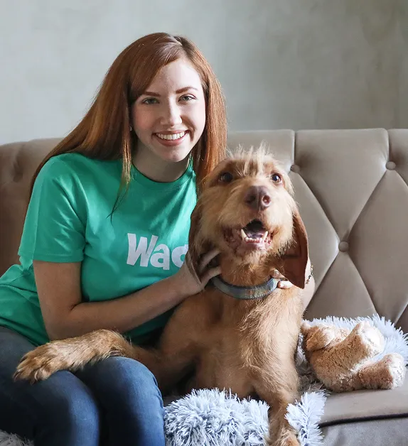 A trusted pet caregiver walking a happy dog in a park, showcasing a secure and enjoyable outdoor experience.