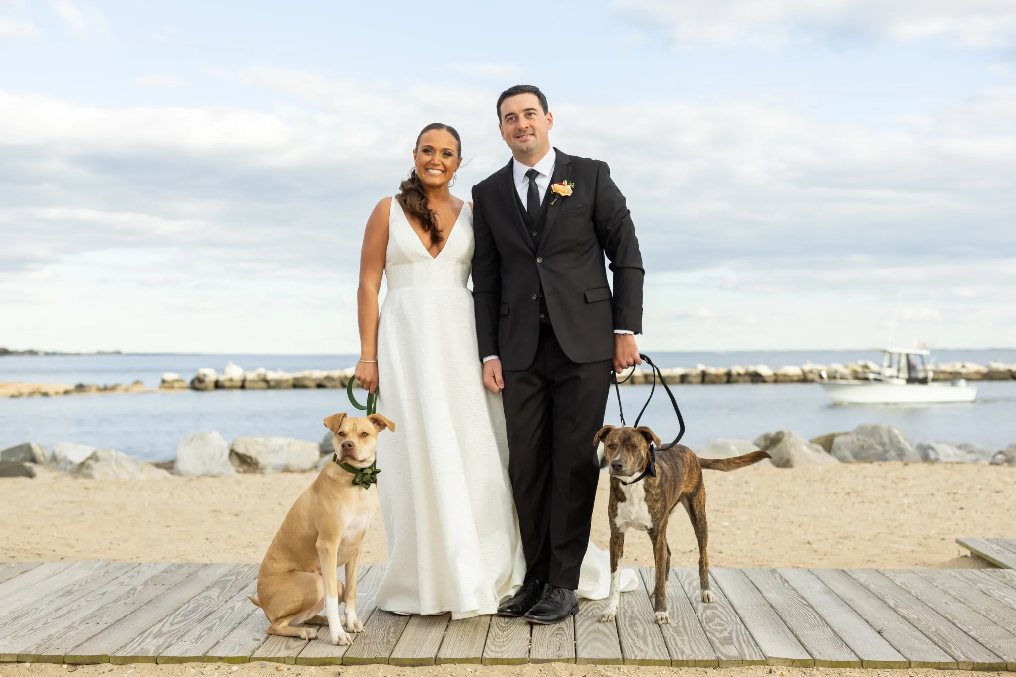 A well-groomed dog dressed for a wedding event attended by a Long Island Pet Nanny pet attendant