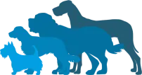 Small and large dogs