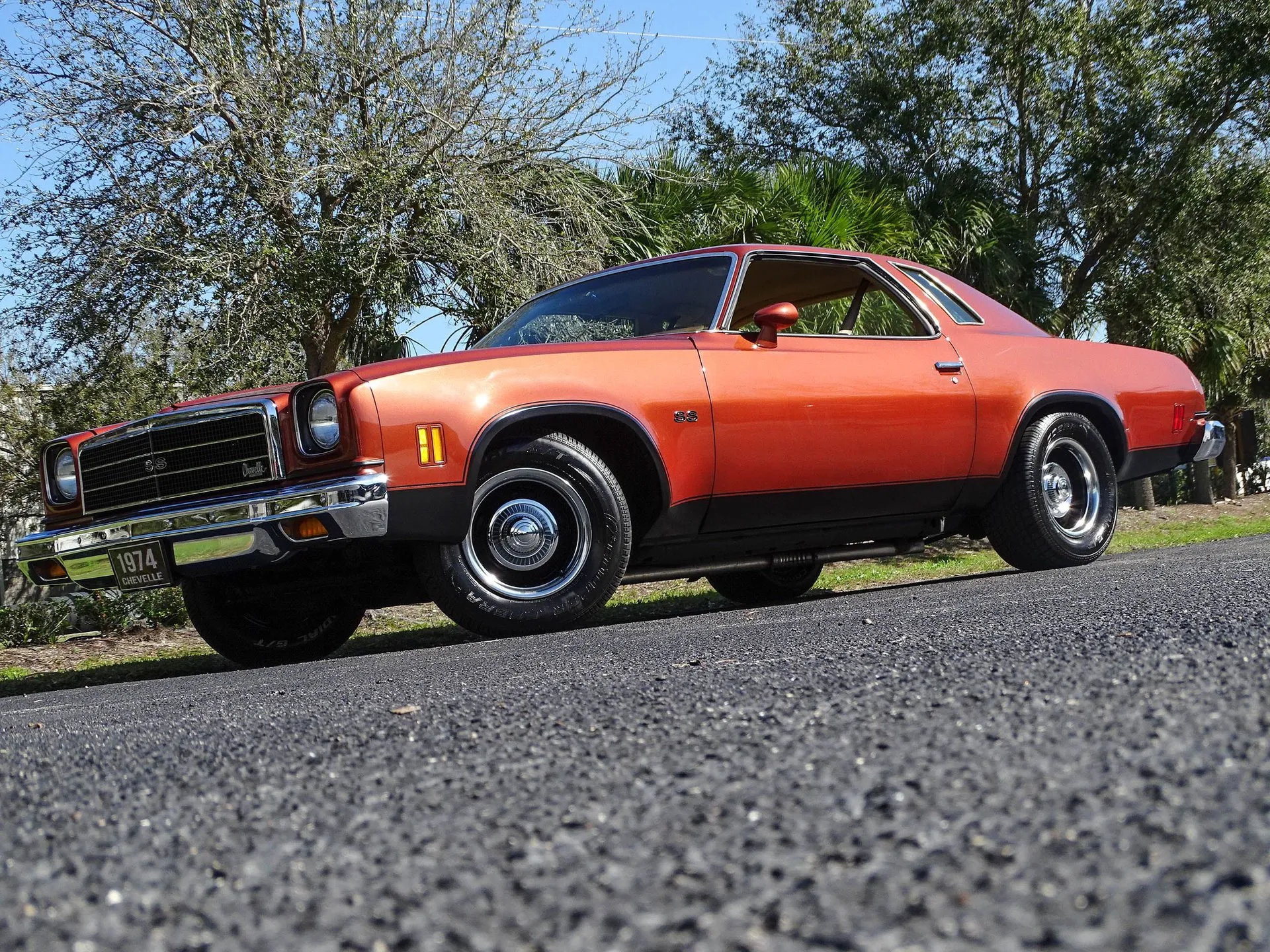 1974 Chevrolet Chevelle Malibu Classic in metallic finish