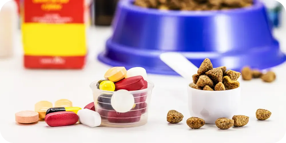 A pet owner adding joint supplements to a dog's meal