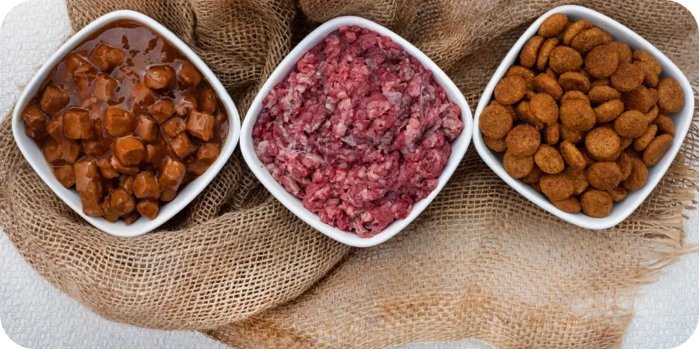 A variety of dog food options including wet and dry formats