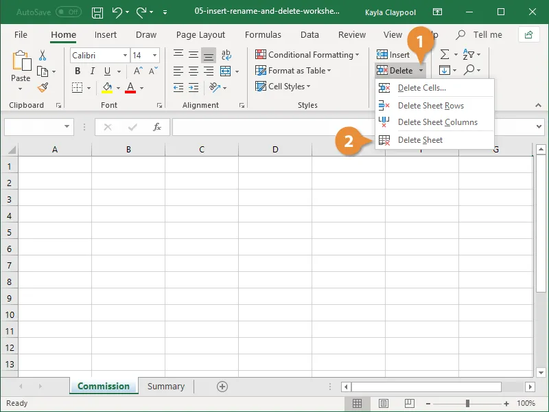 The Delete menu in the Home tab highlighting the Delete Sheet option