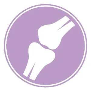 Close up of healthy canine leg joints representing skeletal health