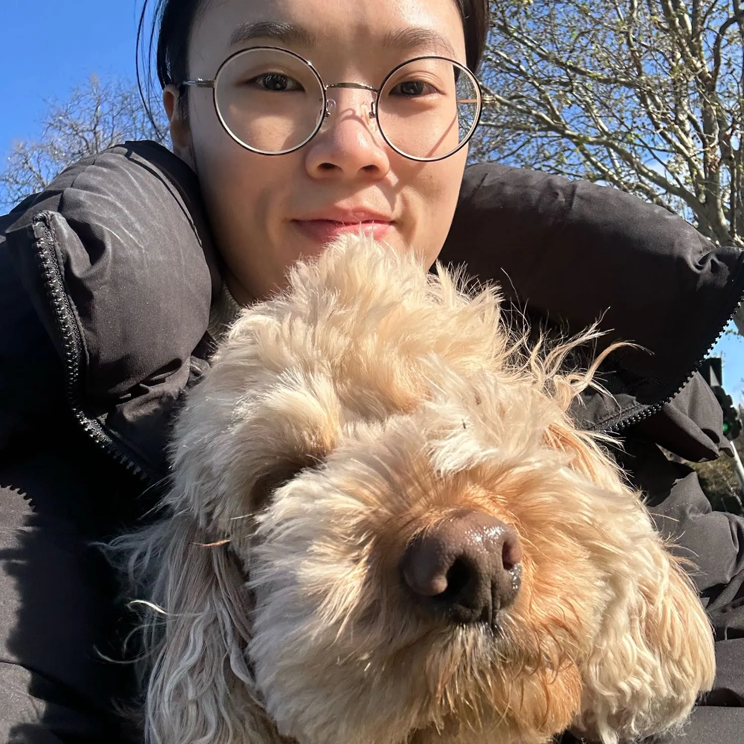 A professional dog walker enjoying a stroll with a client's pet
