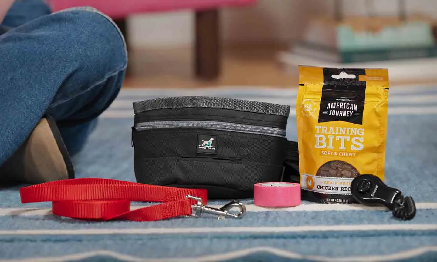 Dog owner preparing treats and leash for training session