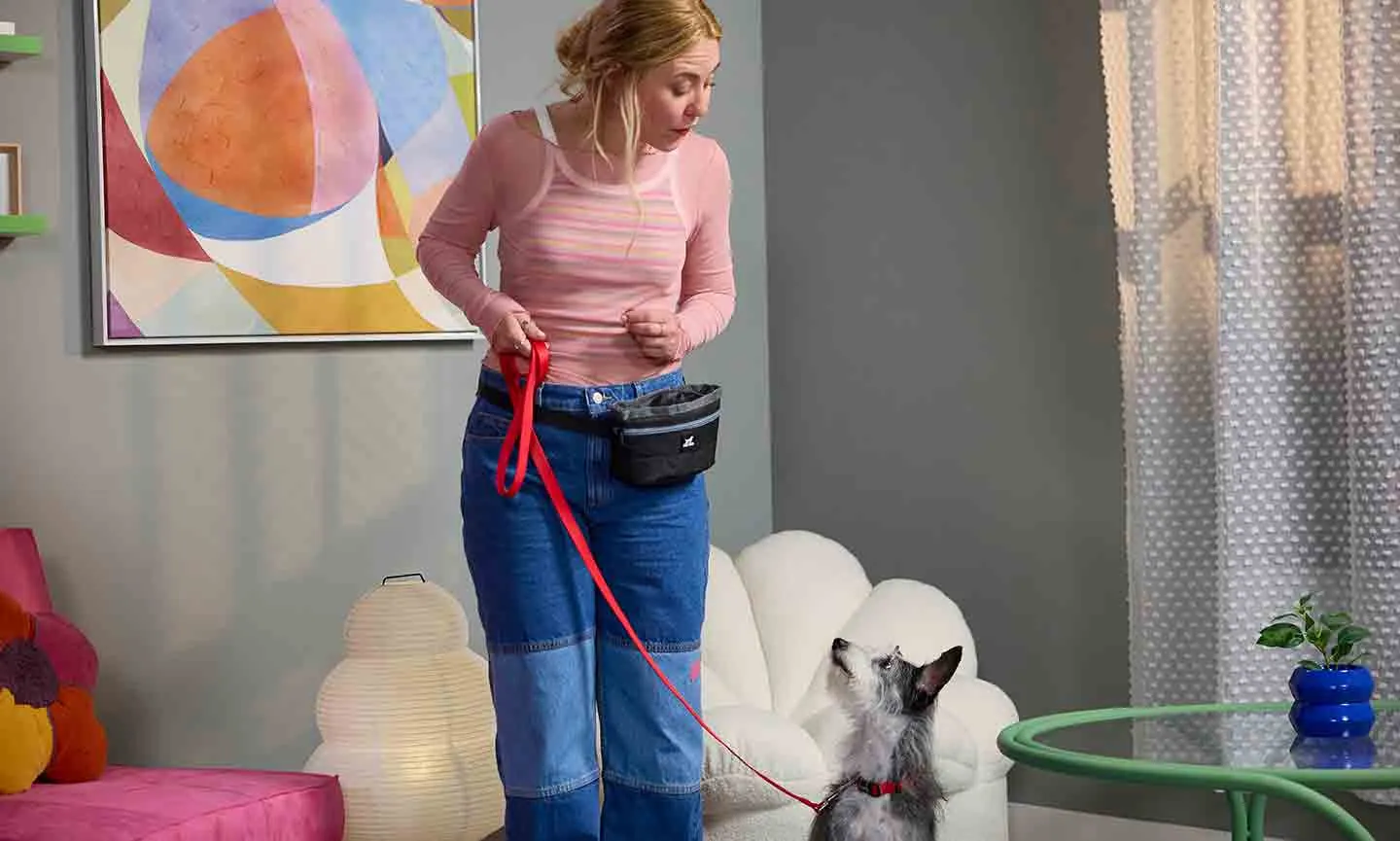 Owner giving verbal heel command during training