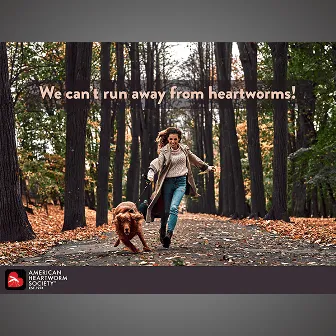 A woman and dog running through the woods, highlighting the active lifestyle of pets and the need for protection