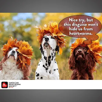 Three dogs wearing leaf hats, symbolizing seasonal awareness for heartworm prevention