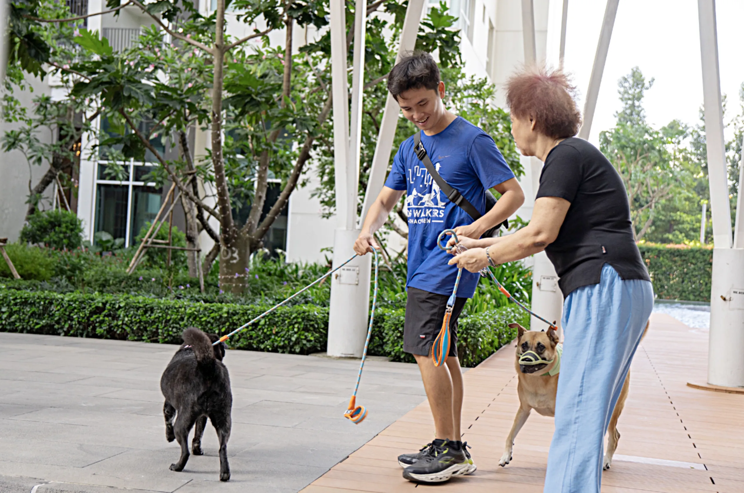 A dog walker captures photos of the pets to update their owner on their condition