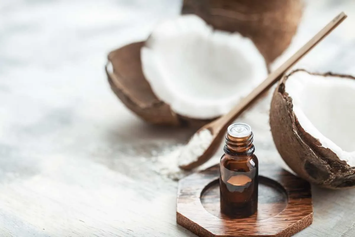 Coconut oil benefits for cats