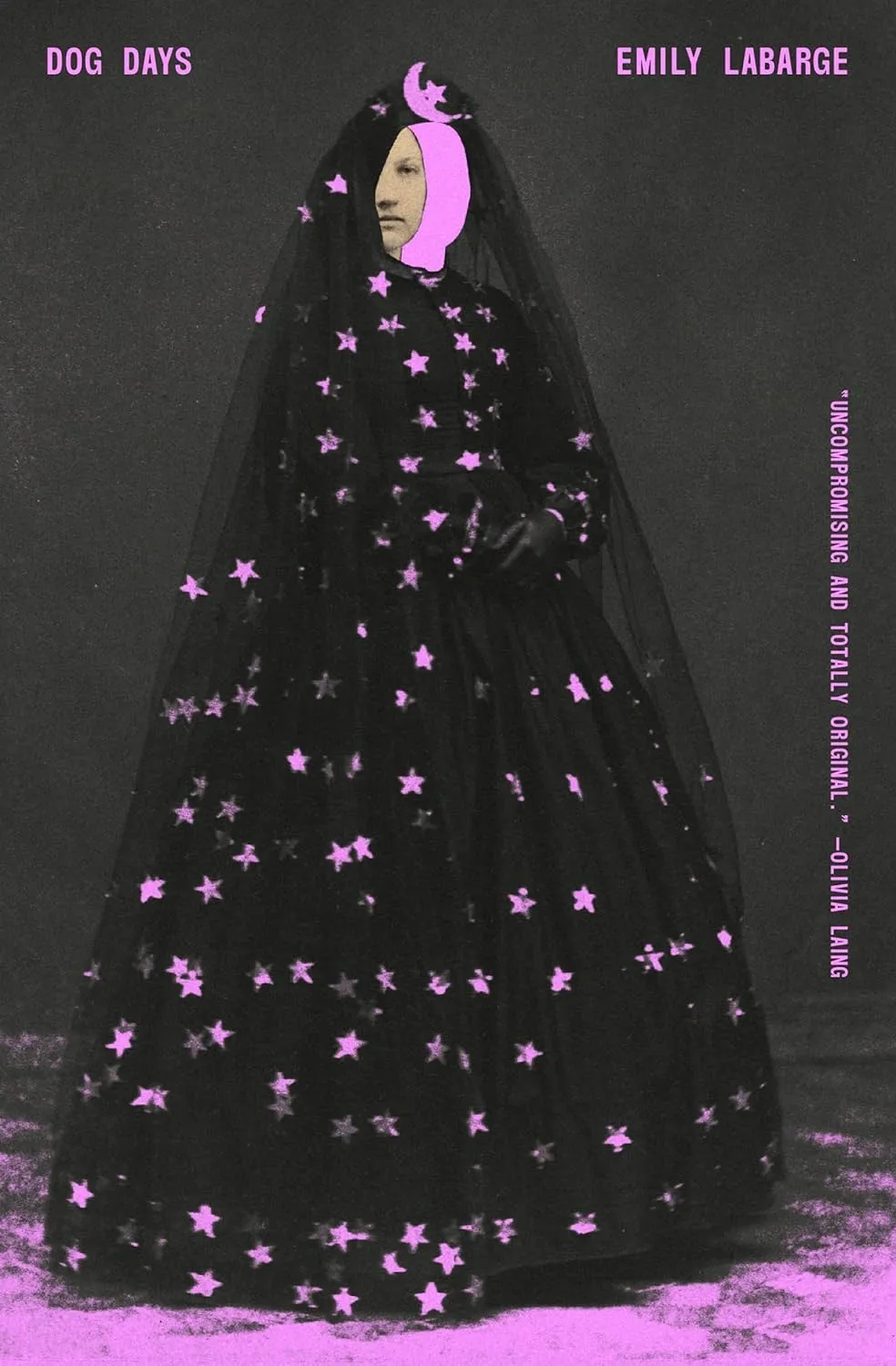 Cover of Dog Days memoir by Emily LaBarge displayed against neutral background
