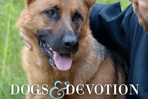 German Shepherd resting calmly beside a peaceful natural setting symbolizing loyalty and devotion