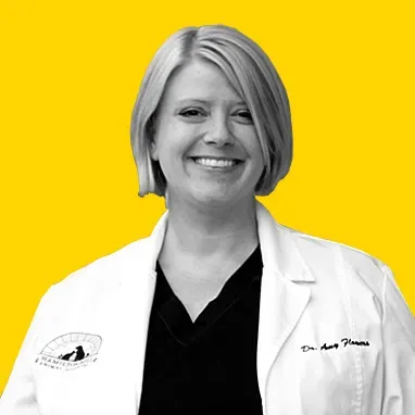 Veterinarian Amy Flowers reviewing pet behavior training concepts