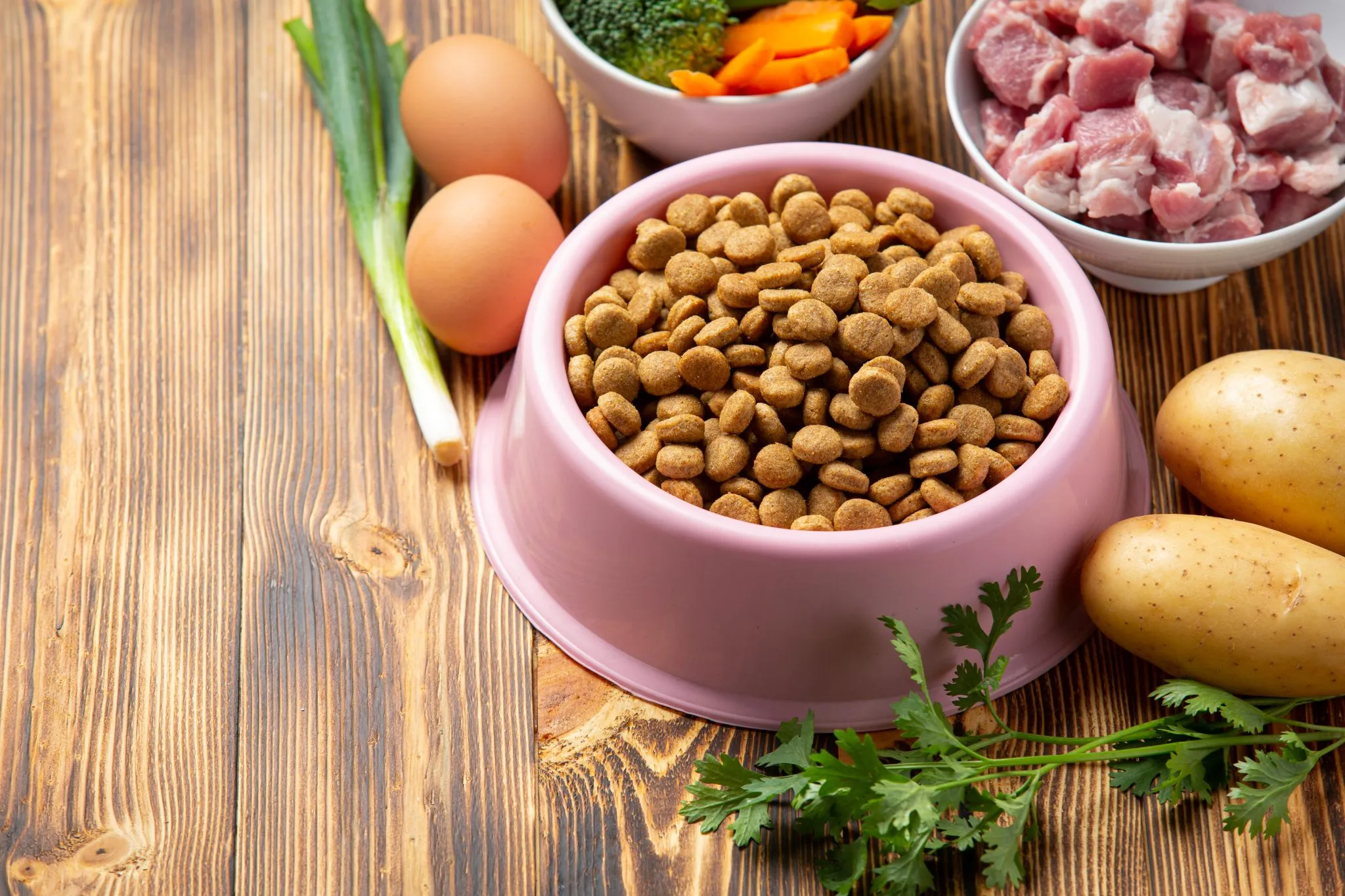 Fresh high-quality pet food ingredients including proteins and vegetables laid out on a dark surface