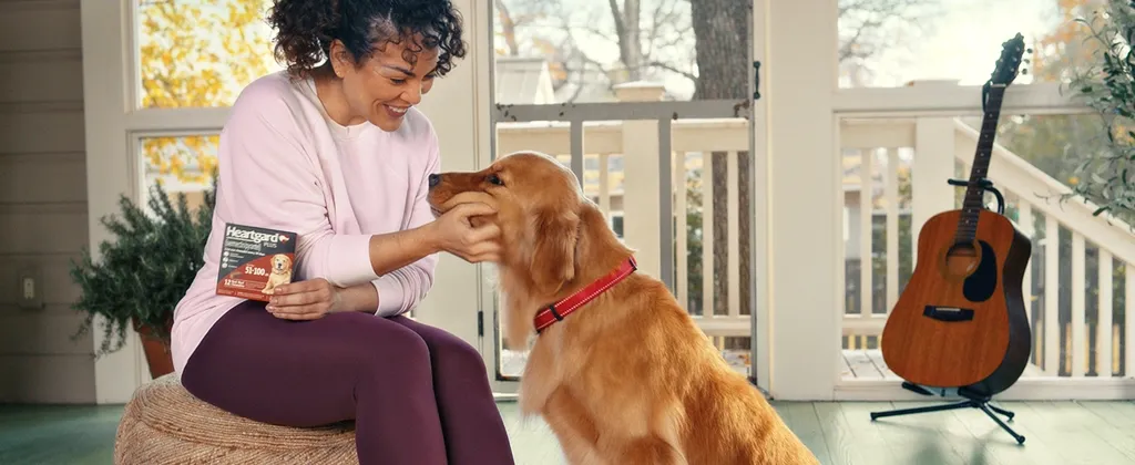 Dog and owner showing care and protection during outdoor walk