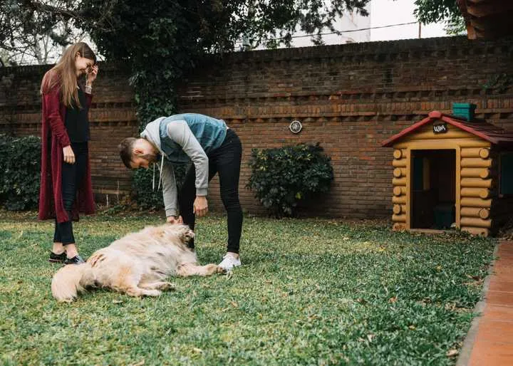 A collection of training tools including a clicker, leash, and treats