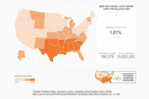 Heartworm disease distribution map showing cases across regions
