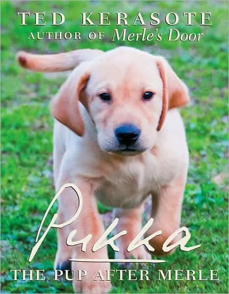 Energetic puppy exploring nature and enjoying outdoor freedom with curiosity and joy