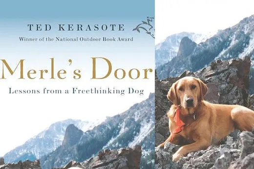 Man hiking with a loyal dog through mountain wilderness during an outdoor adventure