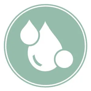 Nutrient-rich supplement ingredients supporting coat regeneration and skin hydration