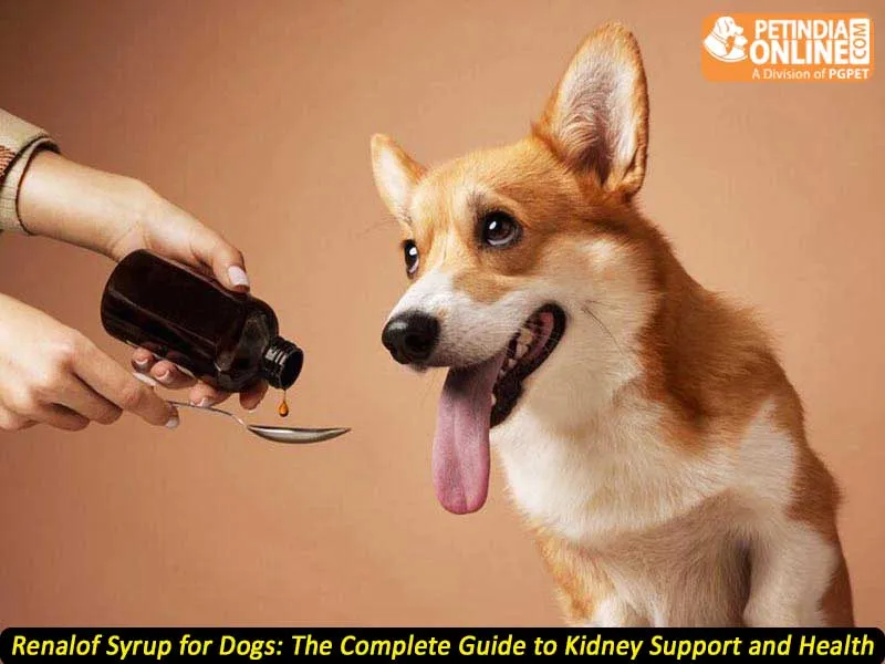 Renalof Syrup for Dogs - Kidney Health Support with Herbal Ingredients