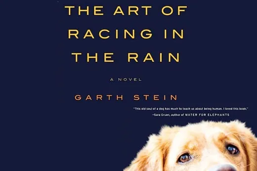 Book cover artwork symbolizing emotional storytelling and the spiritual connection between dogs and humans