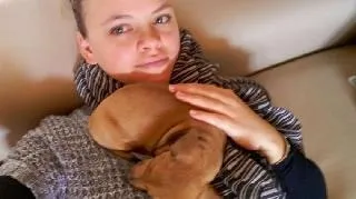 Happy cats and dogs being cared for by attentive pet sitters