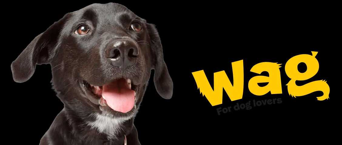 Wag - For Dog Lovers