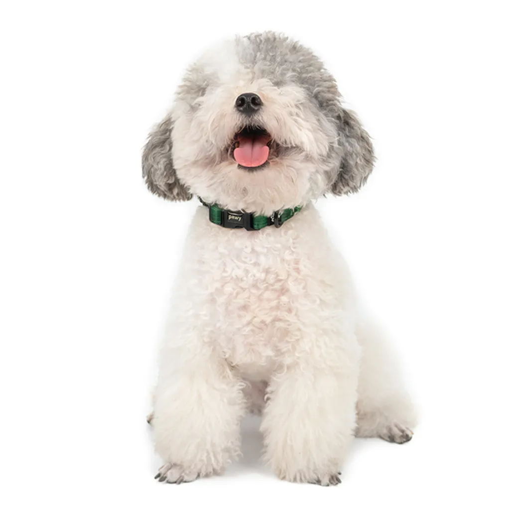 Pawy Dog Collar in Tartan Green