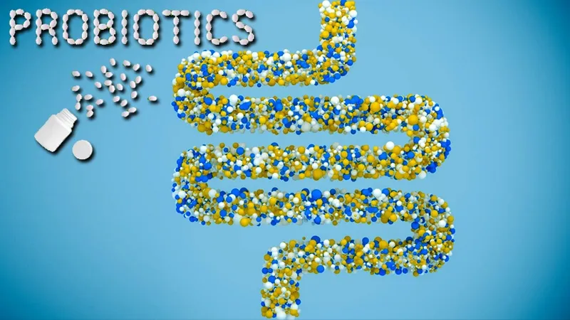 Probiotics supporting intestinal barrier and removal of harmful bacteria