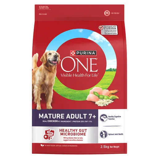 Senior dog enjoying a protein-rich chicken-based meal