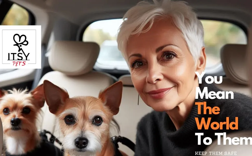 Dogs with dog seat belts and harnesses