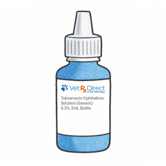Close-up of Tobramycin ophthalmic solution bottle for veterinary eye infection treatment