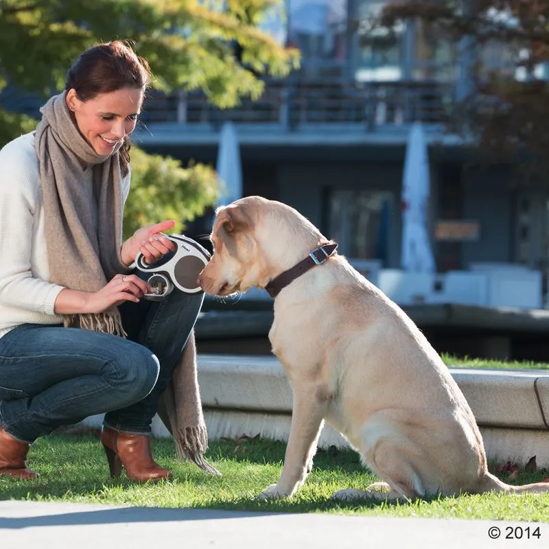 Person demonstrating a retractable dog lead with a large dog sitting outdoors, showing comfortable handle grip and lead operation