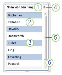 PivotTable slicer components showing filter buttons, title, scroll bar, and resize handles