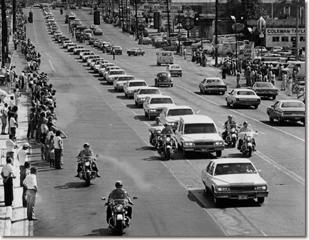 Long procession of white Cadillacs escorting Elvis Presley to Forest Hills Cemetery