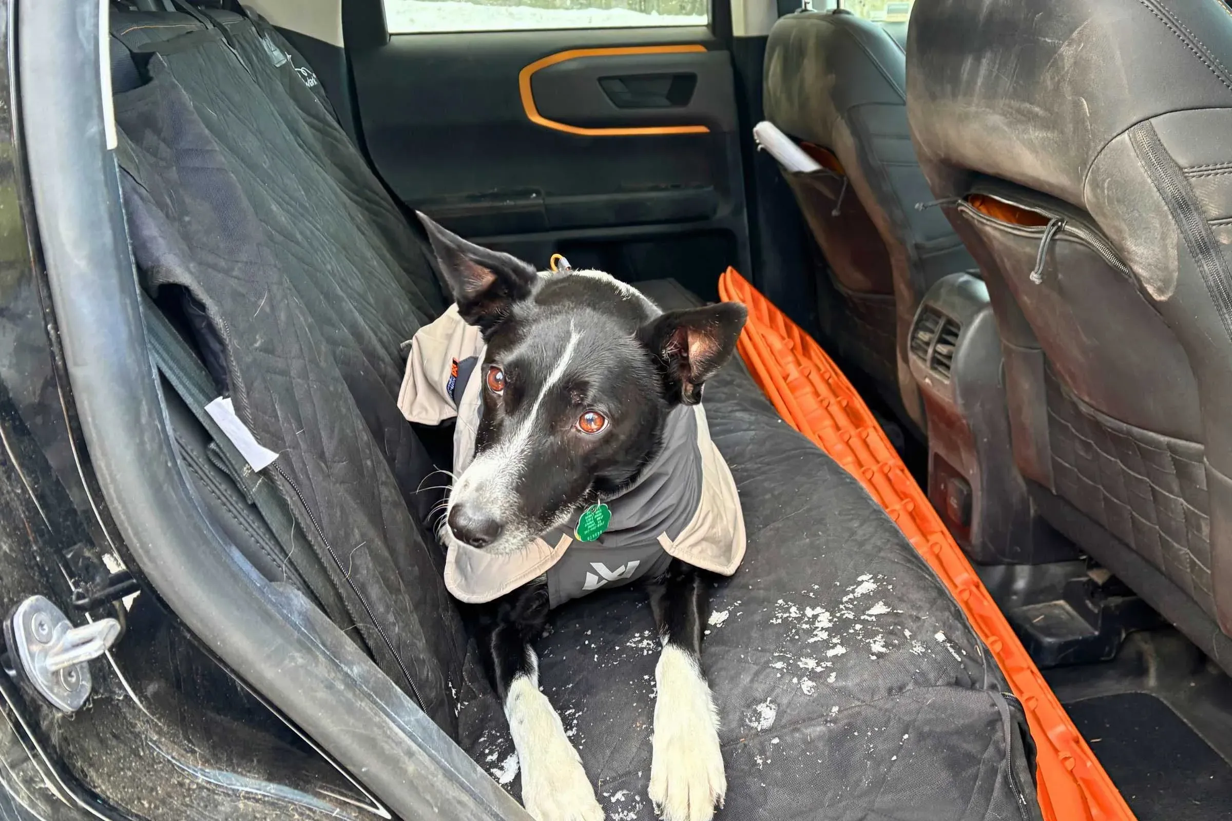 Dog resting on a waterproof seat cover after snowy outdoor adventure
