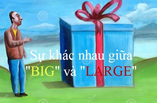 Comparison of size-related English adjectives in language learning materials