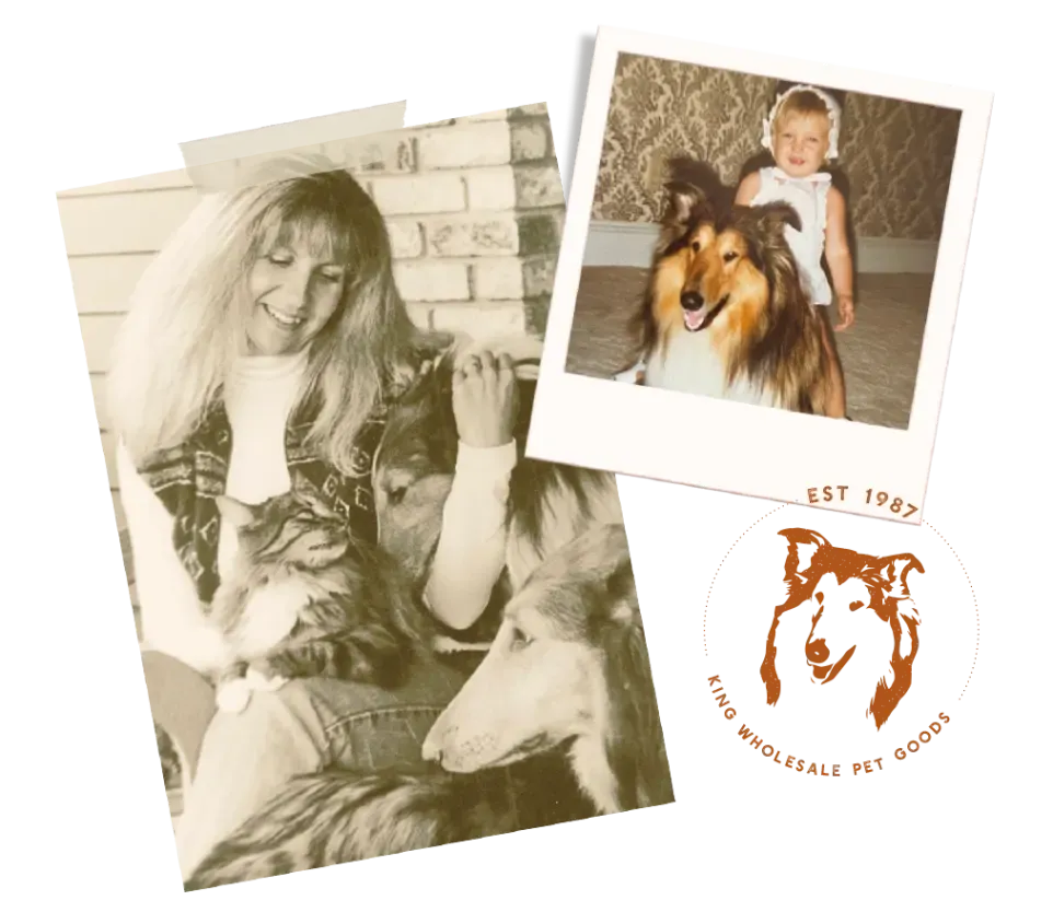 Collage of dogs and families representing companionship and pet care relationships