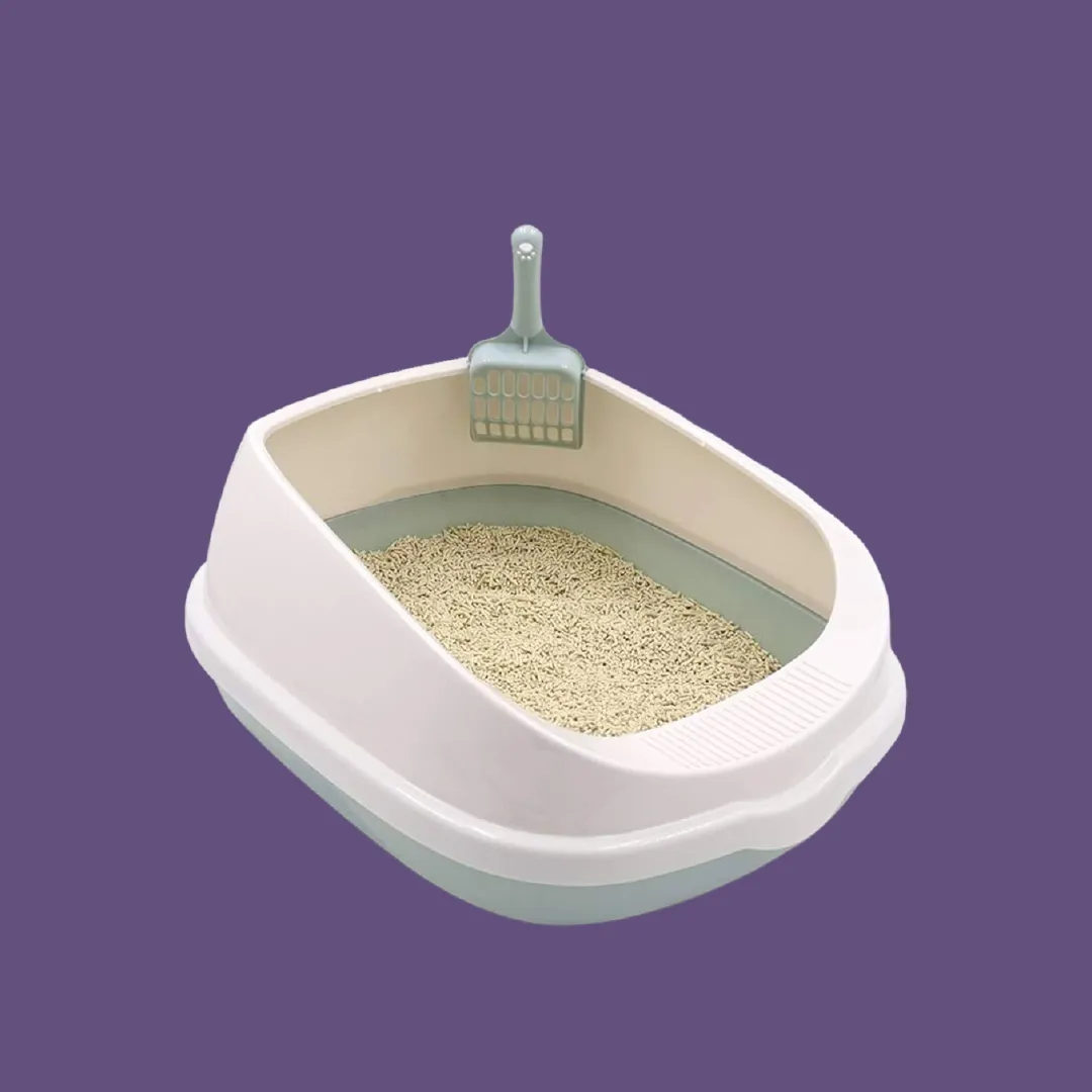 Clean cat litter setup supporting proper indoor cat hygiene