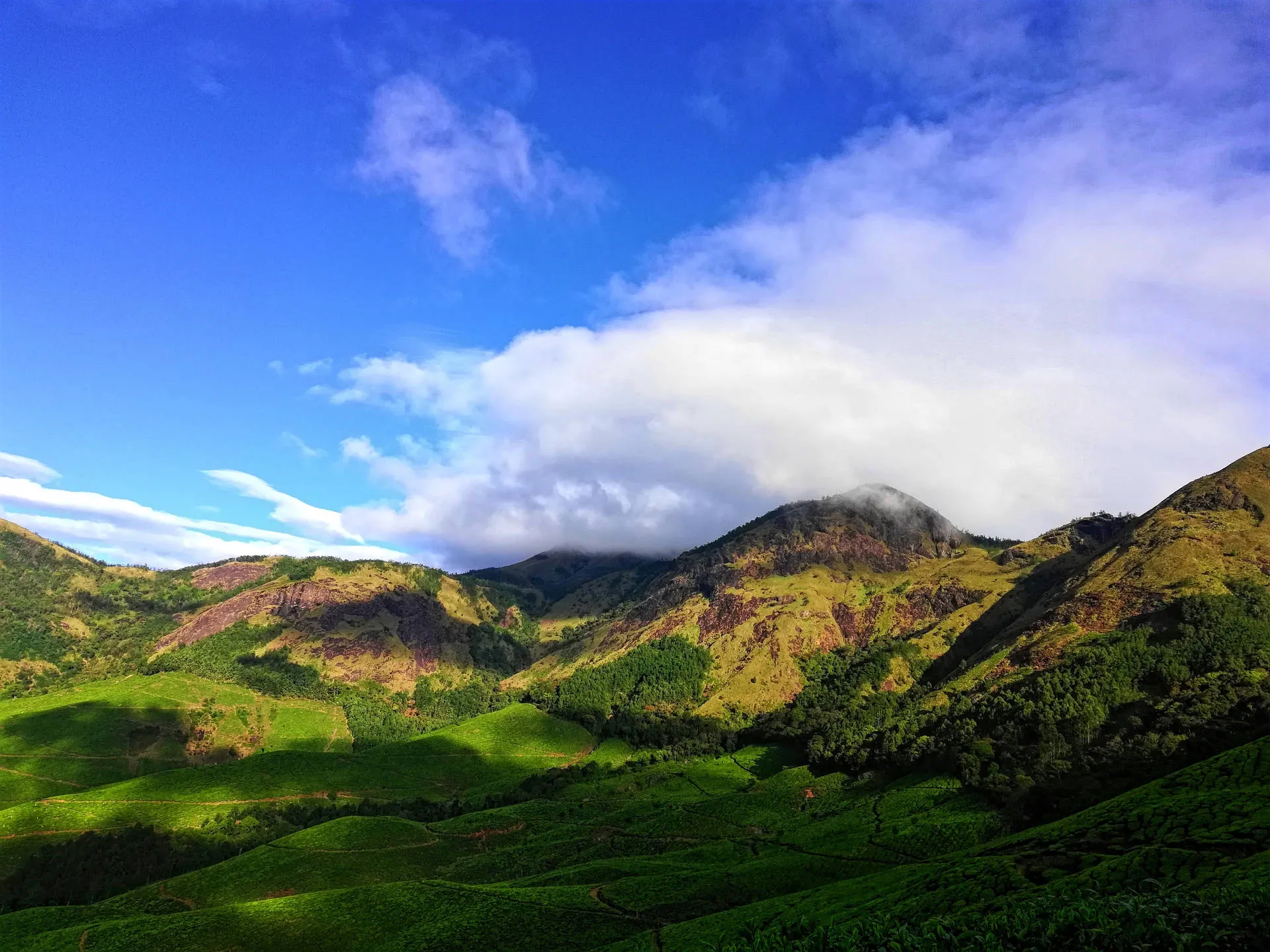 Rolling green mountains under a clear sky, ideal for a calming desktop background